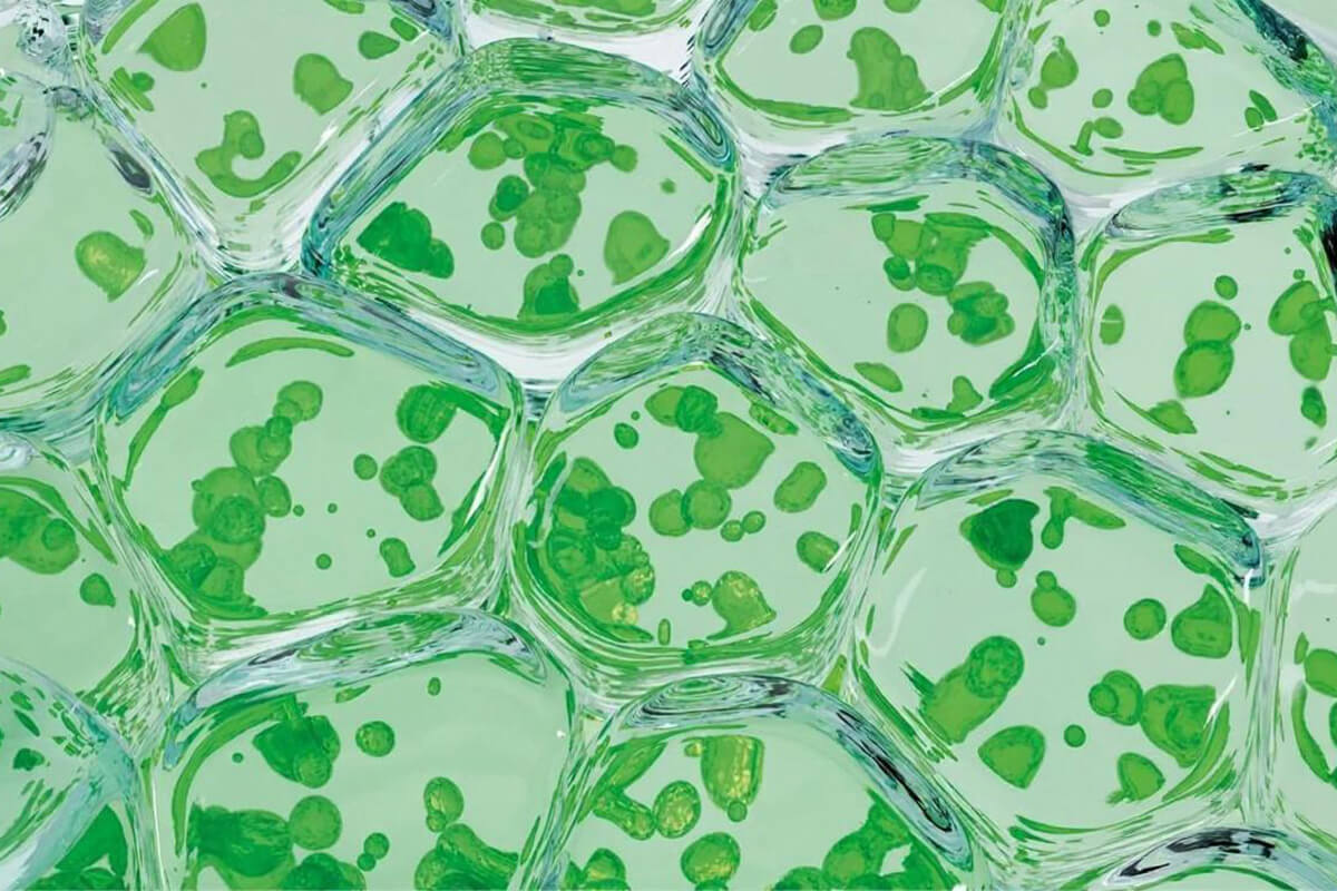 Královská Aromaterapie - Nastal čas